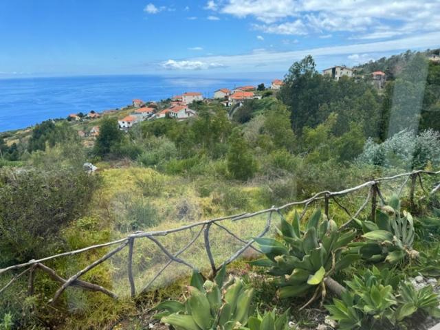 Modular Βίλα Calheta  Εξωτερικό φωτογραφία
